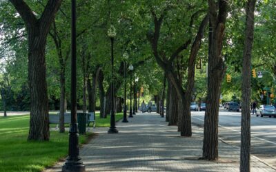 Summer Fun and Scavenger Hunts In Saskatoon